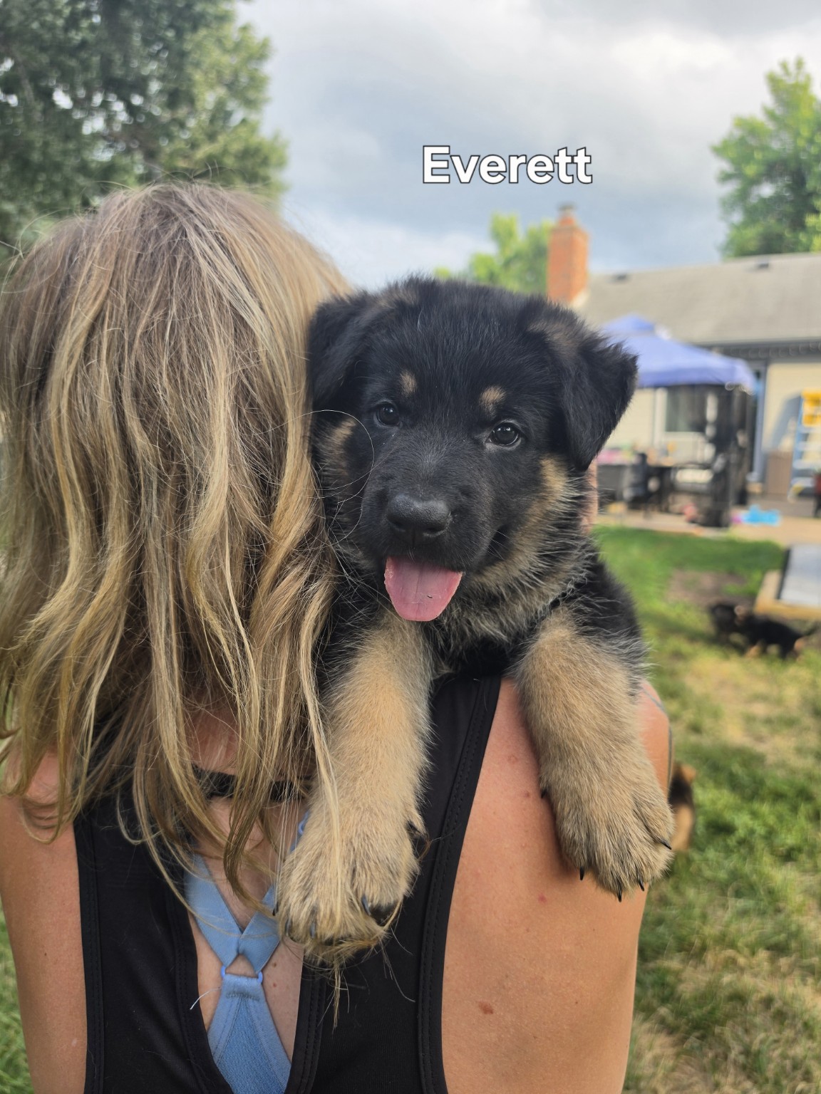 Everett