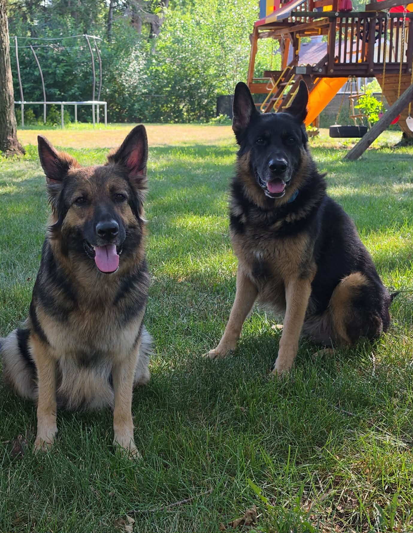 Titan and Sapphire